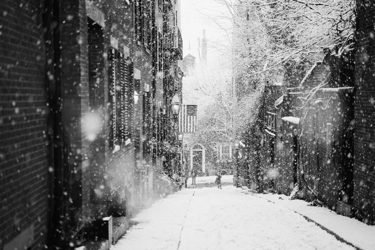 A Winter in Monochrome
